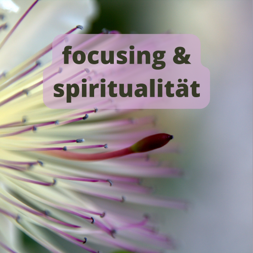 FocusingSpiritualitt DFI WS kurz klein
