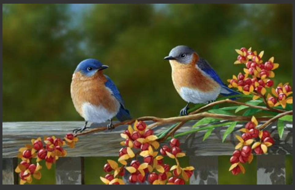 Den Focusing Prozess begleiten – die Wirkung meiner Stimme